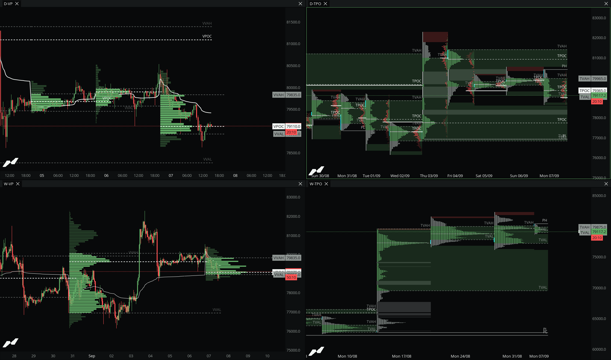 TPO / Market Profile in the MMT terminal